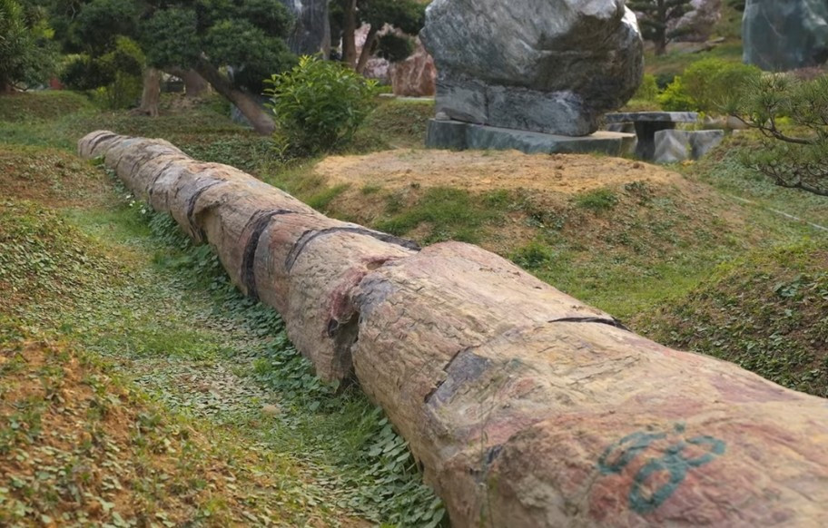 Đặc biệt, khu vườn còn có những bộ sưu tập gỗ hóa thạch hàng triệu năm, nặng trên 30 tấn sưu tầm từ rất nhiều quốc gia trên thế giới. Ảnh chụp màn hình