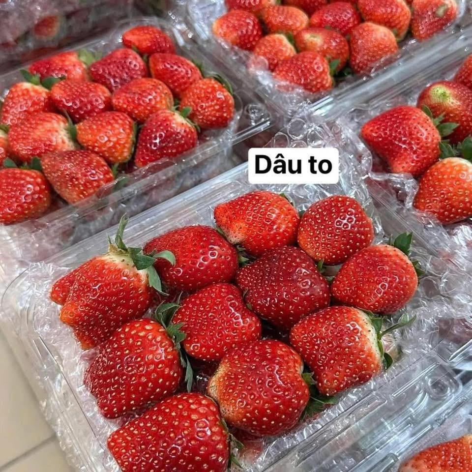 Những ngày cuối tháng 12, trên các chợ dân sinh, siêu thị hay chợ online tại khu vực Hà Nội, dâu tây Mộc Châu bắt đầu được bày bán với nhiều mức giá khác nhau. Ảnh: Facebook