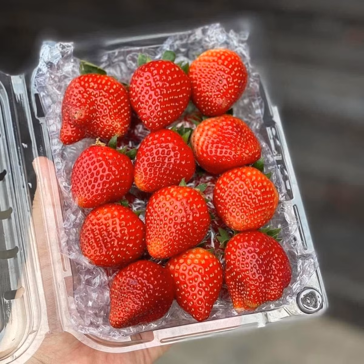 Sau đó, dâu được đóng hộp cẩn thận rồi chuyển về Hà Nội. Ảnh: Facebook