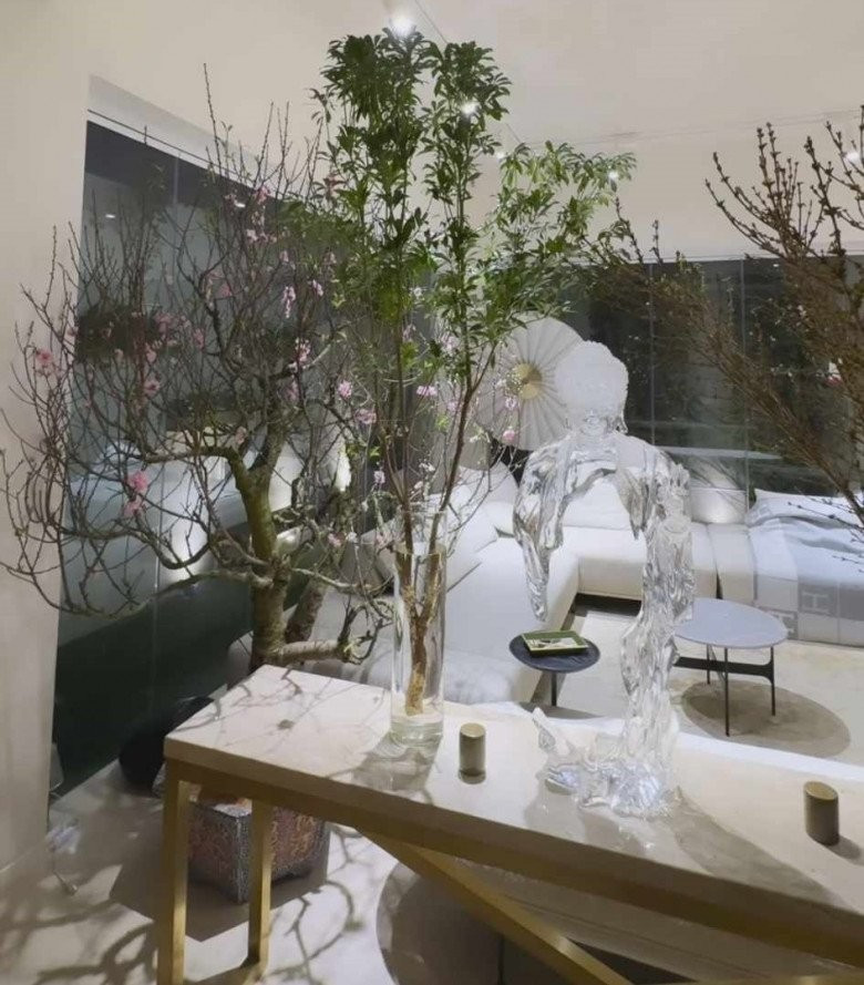 Không gian trong nhà giống như một rừng hoa xuân. Ảnh: FB Ho Ngoc Ha