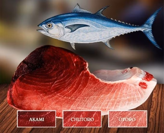 Trong những phiên đấu giá tại Nhật Bản, cá ngừ vây xanh có thể đạt mức giá hàng triệu USD. Ảnh: BI