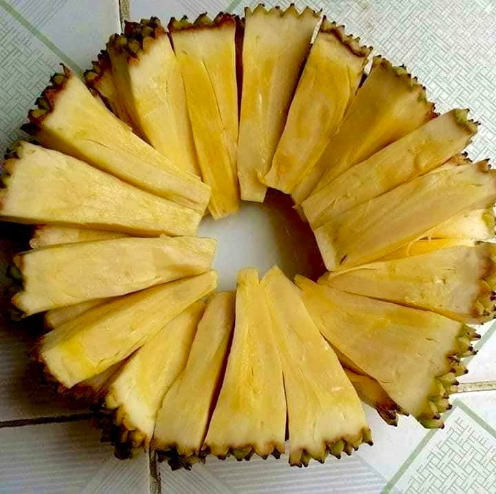 Theo người dân, giống mít này không quá khó chăm sóc, khi ra trái non tầm 6 tháng hơn có thể thu hoạch. Ảnh: Facebook