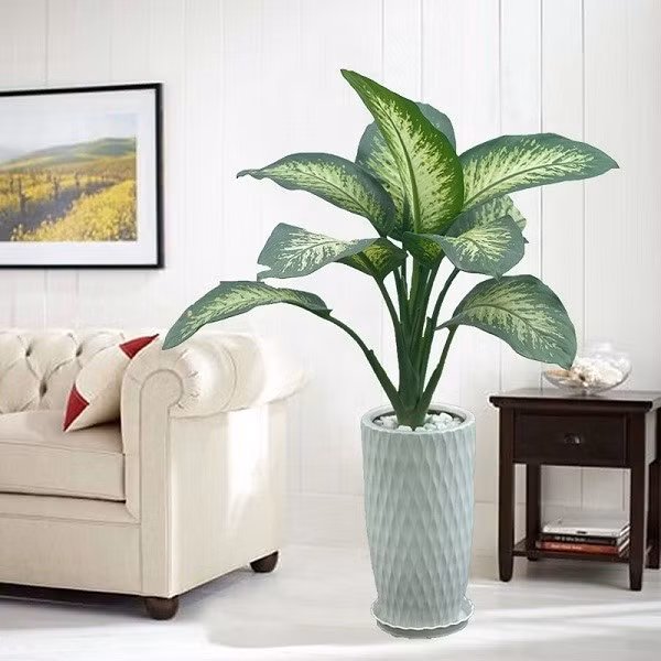 Nếu trong nhà có sẵn cây xanh, hãy thử thay đổi vị trí đặt cây để tạo điểm nhấn mới. Ảnh: Dân Việt