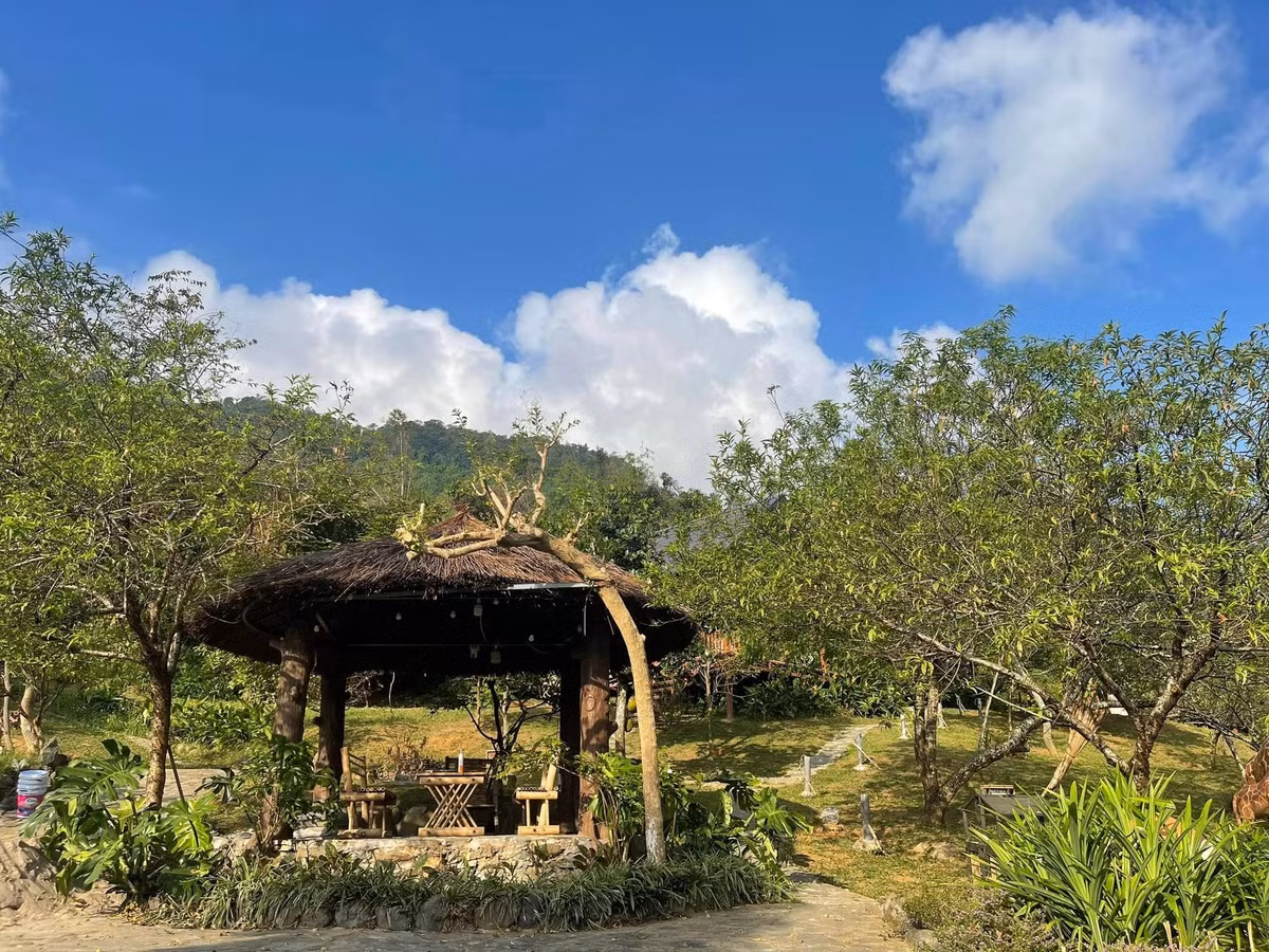 Tuy nhiên, diện tích đó nhanh chóng trở nên chật chội khi bạn bè tặng nhiều cây cối, buộc anh chuyển sang mua một khu nhà vườn rộng 10.000m2 để vừa ở, thư giãn, và trồng được nhiều cây. Ảnh: FB Trần Việt Hoàn