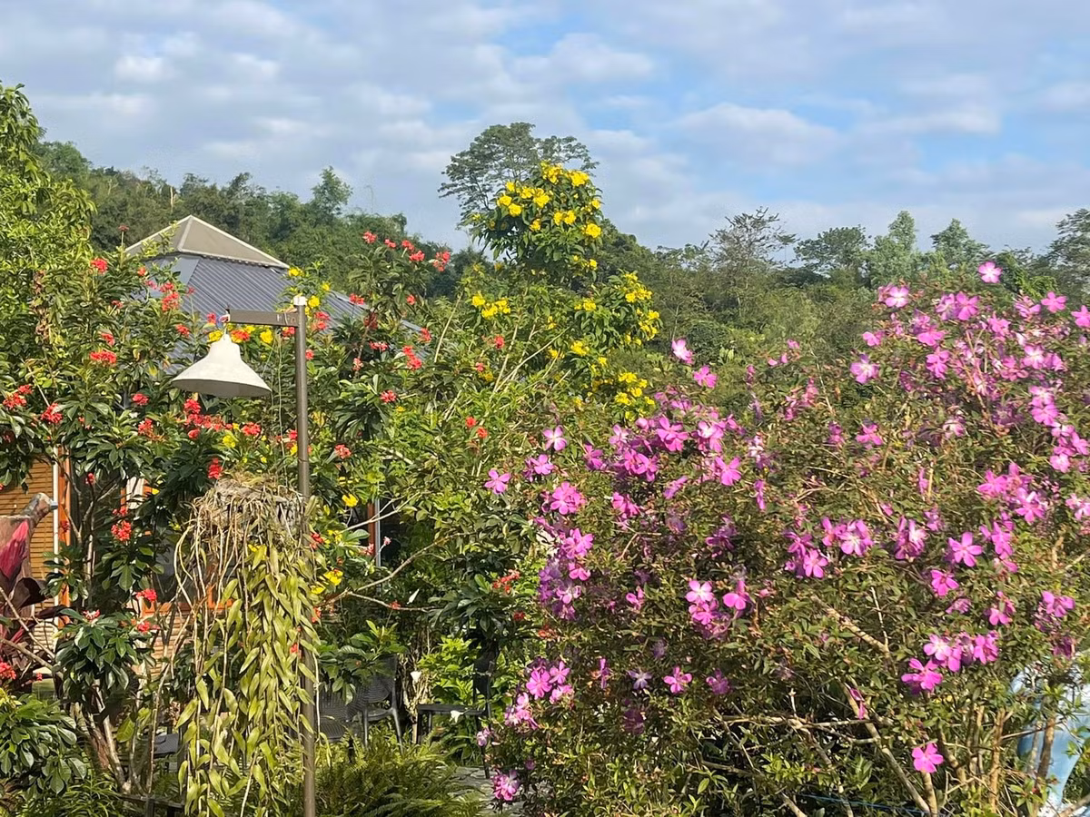 Ban đầu, nghệ sĩ Việt Hoàn chỉ định mua khoảng 1.700m2 đất làm nơi ở cho gia đình. Ảnh: FB Trần Việt Hoàn