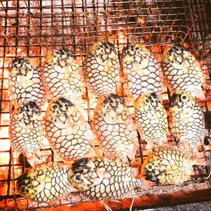 Do sản lượng ít và chưa thể nuôi thương phẩm, cá mãng cầu luôn nằm trong nhóm hải sản hiếm. Mỗi khi xuất hiện tại các chợ hải sản hoặc nhà hàng, loài cá này thường nhanh chóng được đặt mua. Ảnh: Facebook