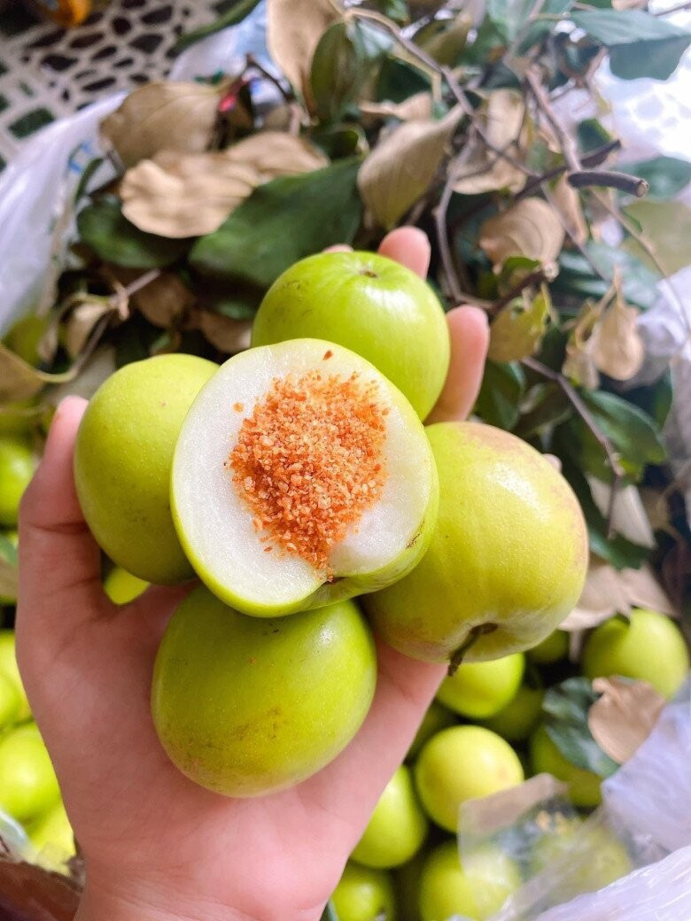 Táo gió Phan Rang có vị giòn rụm, ngọt thanh, mọng nước, nhưng không bị xốp. Ảnh: Internet