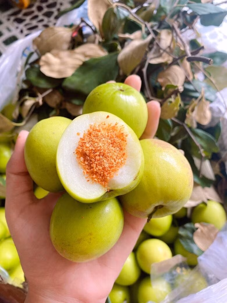 Táo gió Phan Rang có vị giòn rụm, ngọt thanh, mọng nước, nhưng không bị xốp. Ảnh: Internet