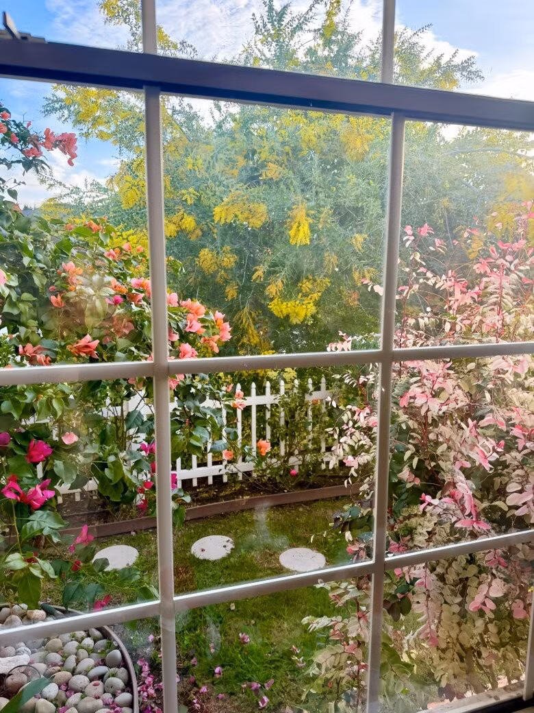 Đặc biệt, góc nhìn từ khung cửa sổ đẹp đến mức nhiều người lầm tưởng đó là bức tranh sơn dầu được sắp đặt kỳ công. Ảnh: FB Hồng Đào