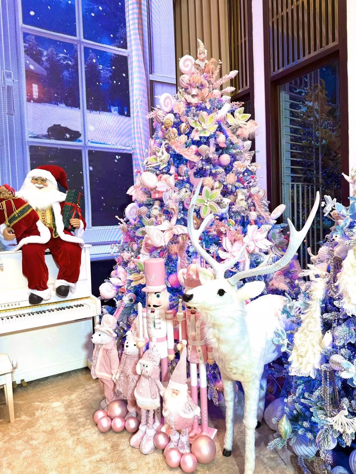 Nhiều cây thậm chí cao gần tới trần nhà. Ảnh: FBNV