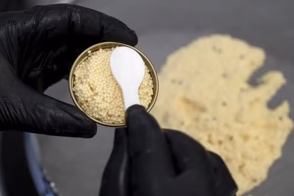 Từ 5kg trứng cá, trải qua quá trình khử nước sẽ cho 1kg thành phẩm. Ảnh: Tsar Nicoulai