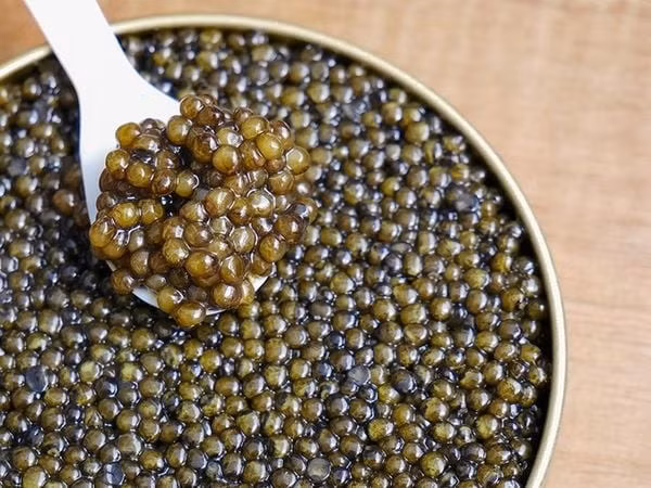 Trứng cá muối lấy từ trứng cá tầm, đặc biệt là loại Sterlet, Osetra, Sevruga và Beluga. Ảnh: Enjoy Gourmet