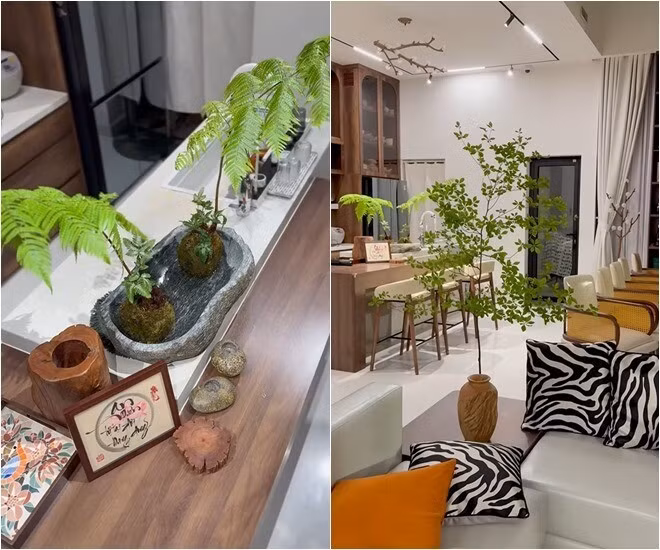 Tiểu cảnh rêu đá, dương xỉ mini, cành thạch nham gợi cảm giác mộc mạc. Ảnh chụp màn hình