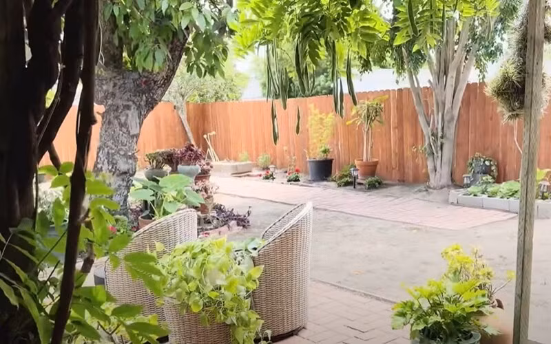 Khoảng sân rộng rãi trồng nhiều cây xanh. Ảnh chụp màn hình