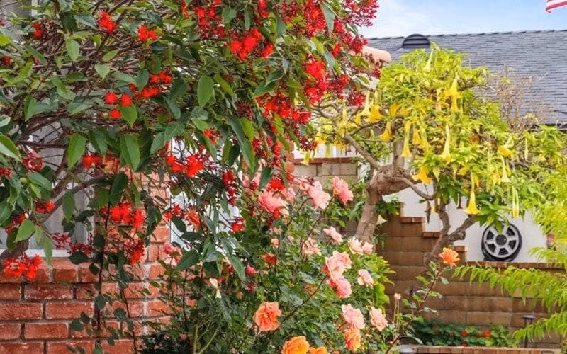 Thời điểm đó, Thúy Nga cho biết xây nhà không phải để ở mà dành cho những dự án nghệ thuật, một không gian để giải trí, chia sẻ về ẩm thực, trò chuyện hay quay những chương trình, giống như một phim trường nhỏ. Ảnh: FBNV