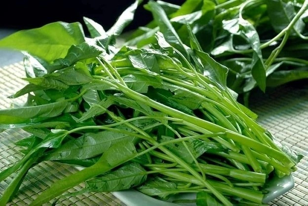 Rau muống thân to, lá xanh bóng bất thường có thể là dấu hiệu tồn dư hóa chất vượt ngưỡng cho phép. Rau an toàn thường thân nhỏ hơn, có vài vết sâu hoặc lá bị côn trùng cắn nhẹ. Ảnh: Internet