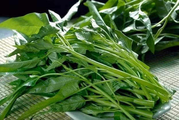 Rau muống thân to, lá xanh bóng bất thường có thể là dấu hiệu tồn dư hóa chất vượt ngưỡng cho phép. Rau an toàn thường thân nhỏ hơn, có vài vết sâu hoặc lá bị côn trùng cắn nhẹ. Ảnh: Internet