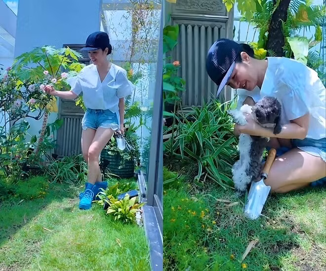 Nữ ca sĩ dành nhiều tâm huyết cho khu vườn. Với Hồng Nhung, quan trọng nhất là chỗ ở phải thoải mái, tự nhiên nhất, lúc nào cũng phải có thiên nhiên, cây cối, có khu vườn đẹp. Ảnh chụp màn hình