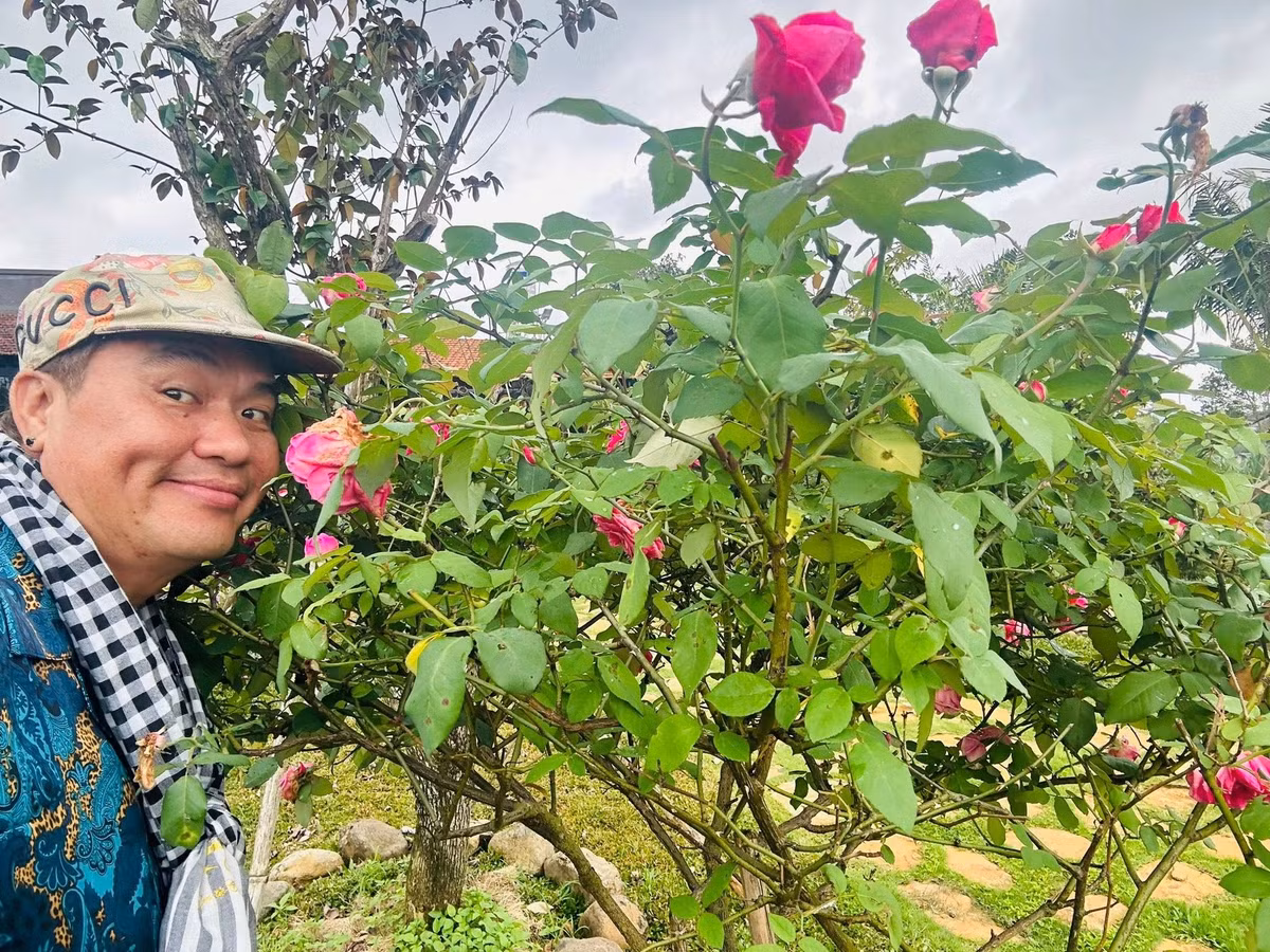 Hoa hồng nở rộ. Ảnh: FBNV