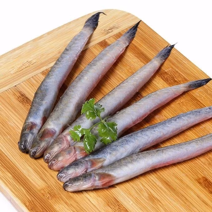 Nhờ vậy, nghề nuôi cá kèo tại Nam Bộ phát triển mạnh, mang lại thu nhập ổn định cho nhiều hộ dân. Ảnh: Facebook