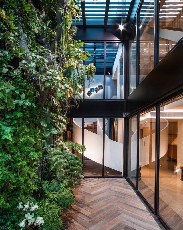 Xung quanh nhà có nhiều cây cối, tạo nên thảm thực vật phong phú. Ảnh: Toutiao