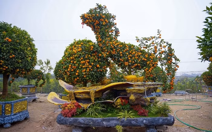 Chậu quýt cổ chu sa tạo hình ngựa giá 40 triệu đồng tại một nhà vườn ở Hưng Yên. Ảnh: Vietnamnet
