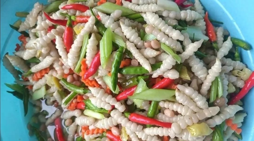 Nhìn chẳng khác bầy sâu non nhưng sùng thảo có vị ngon khác lạ và giòn sần sật. Ảnh: Internet