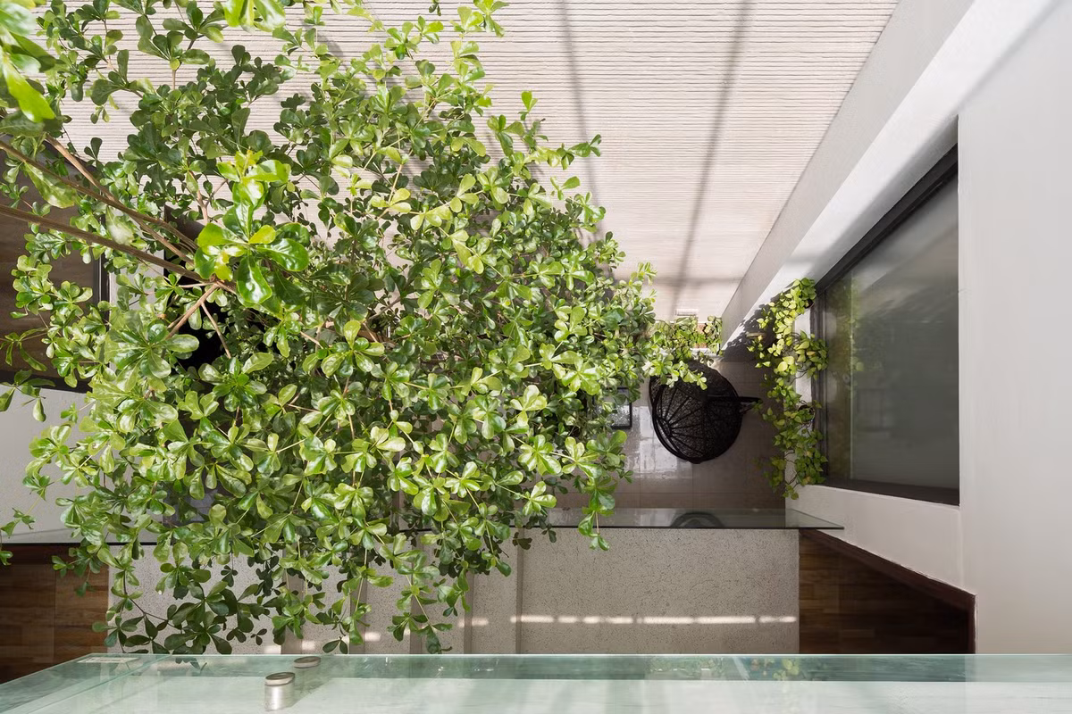 Khoảng trống lớn giữa nhà với mái kính mang đến cảm giác thoải mái, không bị ngột ngạt như nhà ống thông thường. Ảnh: Hoàng Lê