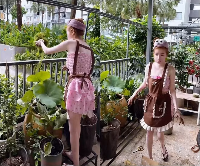 Sen được Elly Trần trồng trong chum to. Ảnh chụp màn hình