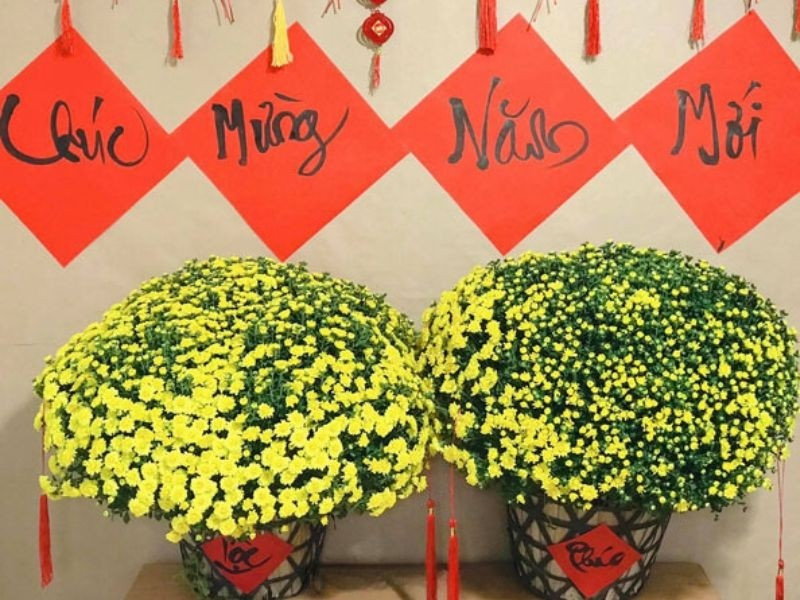 Chỉ từ vài chục nghìn đồng, người tiêu dùng đã có thể sở hữu một chậu cúc vàng tươi, mang không khí xuân tràn đầy vào ngôi nhà. Ảnh: Shopee