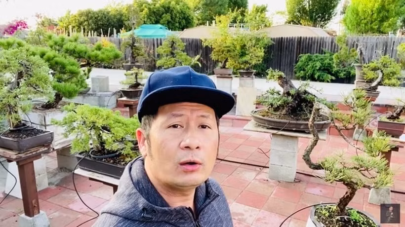 Bằng Kiều còn thiết kế hẳn một vườn bonsai, chủ yếu là tùng đen và bách. Ảnh: FBNV