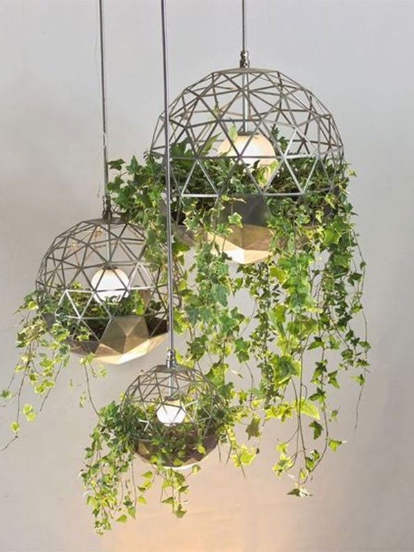 Ngoài ra, việc tưới nước cho cây ở vị trí cao cũng dễ làm nước nhỏ giọt, ảnh hưởng đến đồ đạc và sàn nhà. Ảnh: Saigonhoa ﻿Thông tin trong bài chỉ mang tính chất tham khảo!