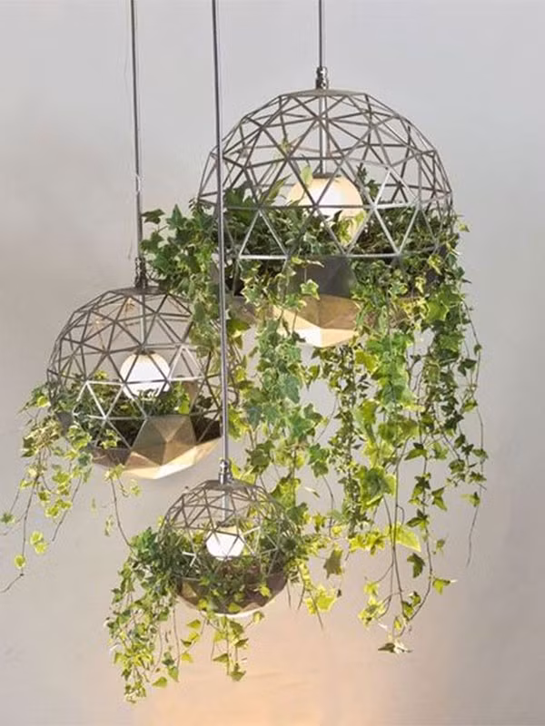 Ngoài ra, việc tưới nước cho cây ở vị trí cao cũng dễ làm nước nhỏ giọt, ảnh hưởng đến đồ đạc và sàn nhà. Ảnh: Saigonhoa ﻿Thông tin trong bài chỉ mang tính chất tham khảo!