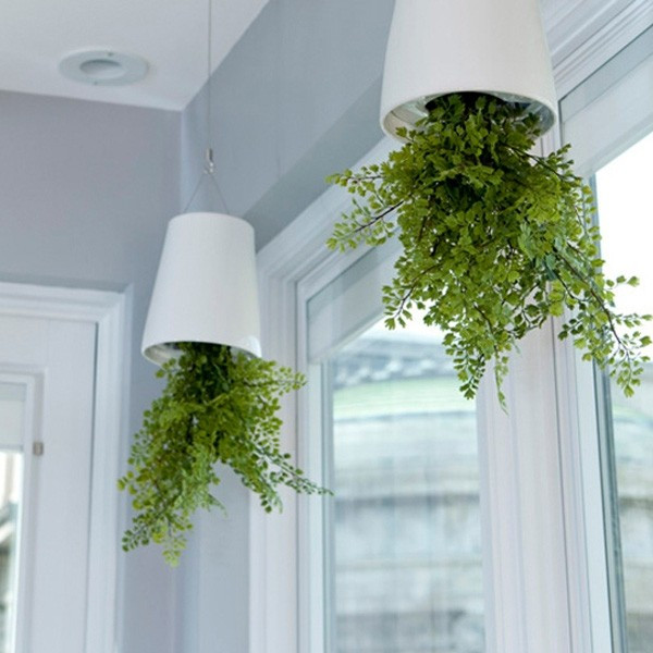 Nhiều gia đình thích treo chậu cây hoặc đặt cây trên kệ cao sát trần để tiết kiệm diện tích. Tuy nhiên, nếu không cố định chắc chắn, chậu cây có thể rơi xuống, gây nguy hiểm cho người bên dưới. Ảnh: Internet