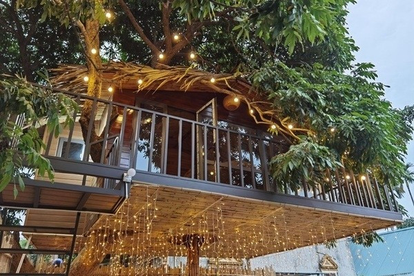 Nhìn bên ngoài, ngôi nhà có vẻ nằm hoàn toàn trên cây nhãn, nhưng thực tế không tựa vào cây, nên đảm bảo về độ an toàn. Ảnh: Vietnamnet