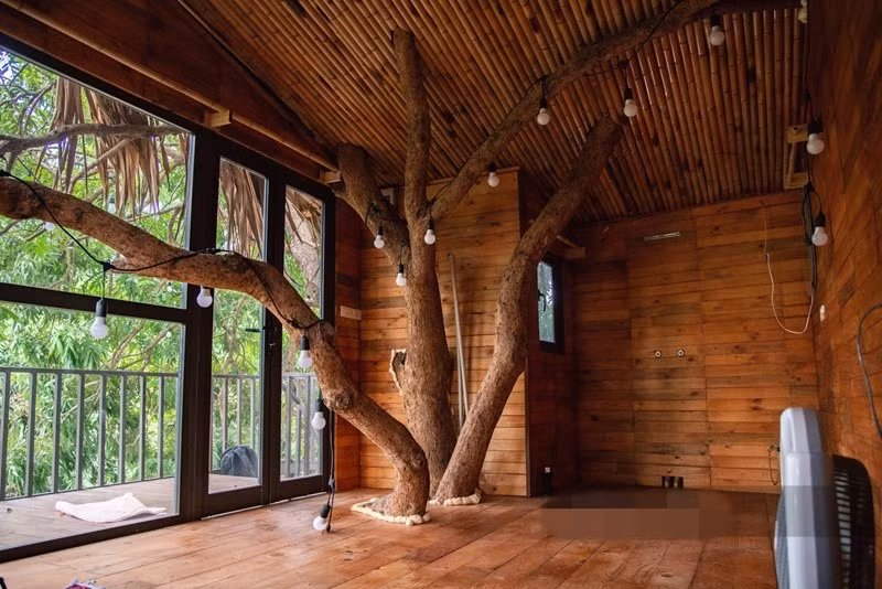 Tại các chỗ cây đâm qua phía trên sàn và tường được xịt bọt xốp để hạn chế côn trùng. Ảnh: Dân Việt