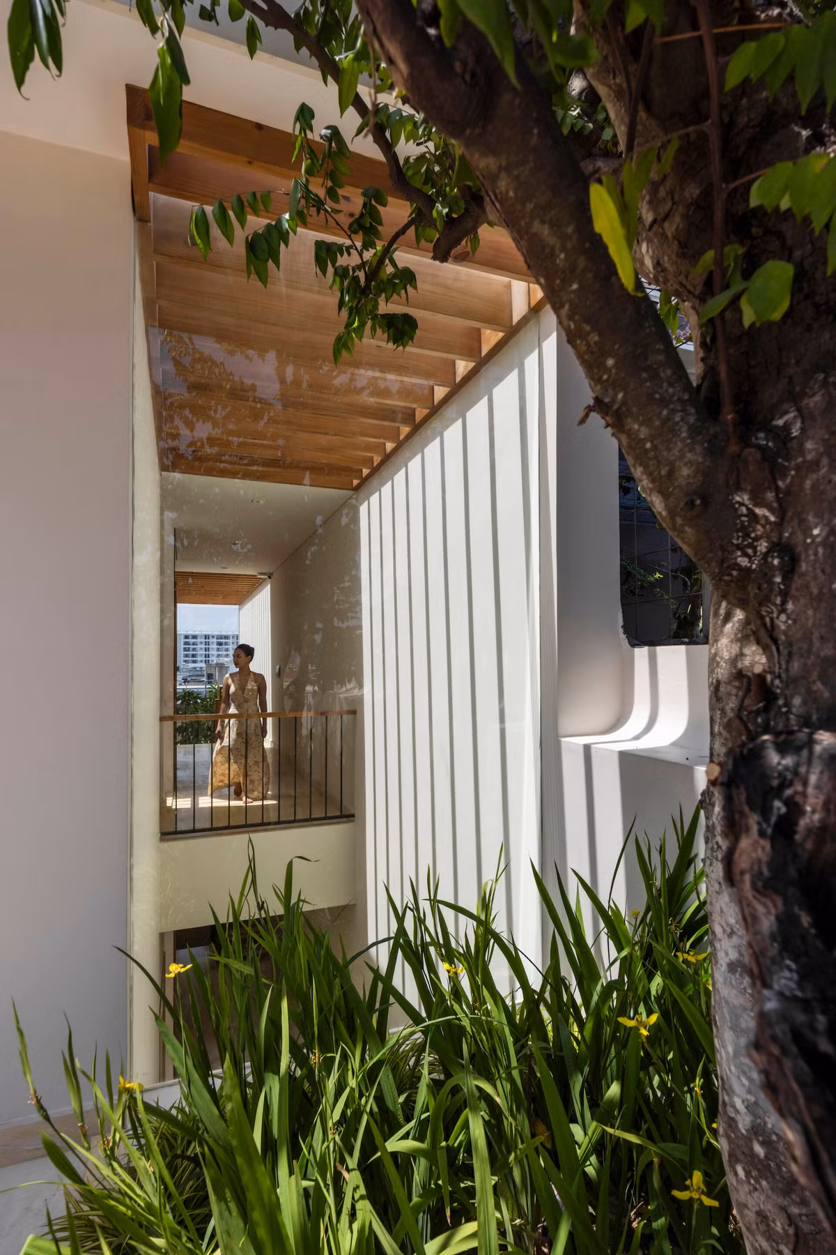 Các dải cây xanh len lỏi dọc theo hành lang, bậc thang… làm dịu cảm giác đặc khối thường gặp ở nhà phố. Ảnh: Oki Hiroyuki