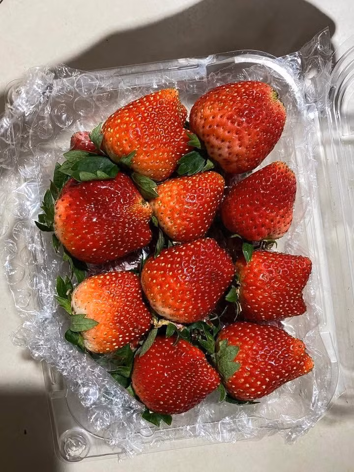 Các tiểu thương cho biết, do mới đầu mùa nên dâu tây Mộc Châu có mức giá khá cao, dao động từ 100.000 – 250.000 đồng/hộp 0,5kg, tùy kích thước quả. Ảnh: Facebook