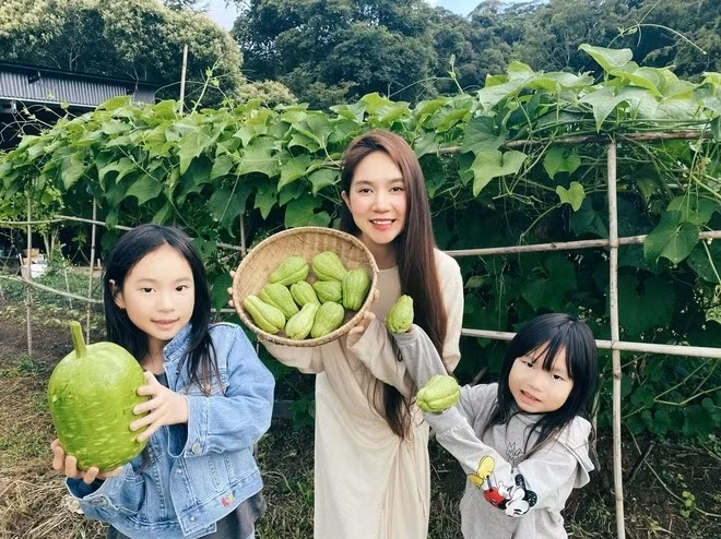 Trong khuôn viên nông trại rộng cả nghìn mét vuông, vợ chồng Lý Hải - Minh Hà trồng nhiều loại rau, củ như khoai lang, bí đao, su su, bầu. Ảnh: FBNV