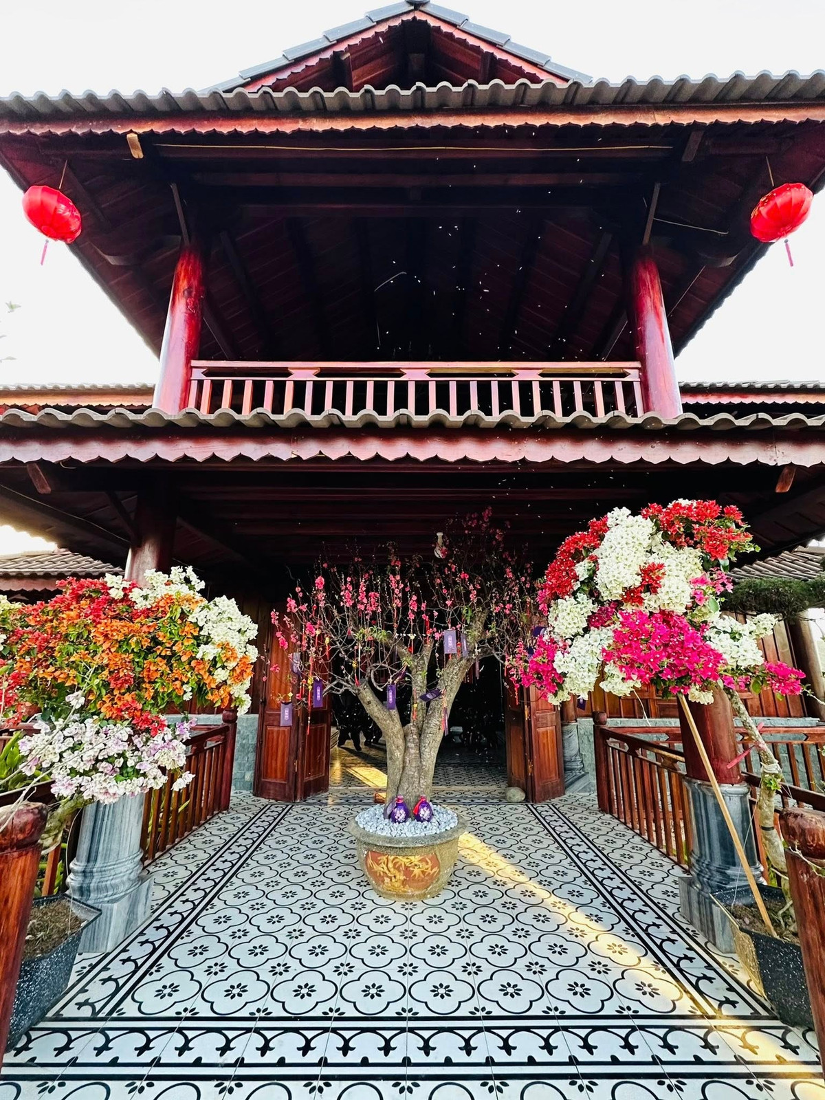 Dịp Tết vừa qua, dù khu vườn đã rực rỡ, nam nghệ sĩ vẫn đặt thêm nhiều chậu hoa mới và treo đèn lồng khắp nơi để tăng thêm không khí xuân. Ảnh: FBNV