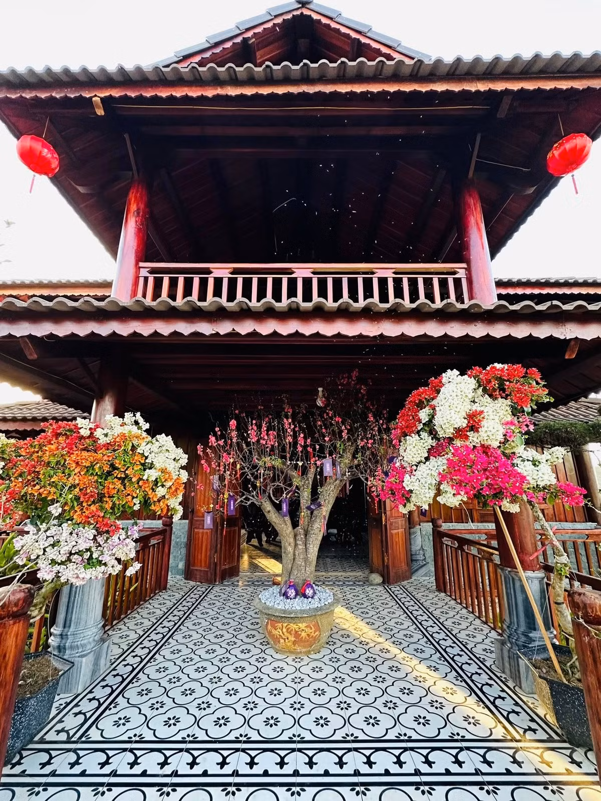 Dịp Tết vừa qua, dù khu vườn đã rực rỡ, nam nghệ sĩ vẫn đặt thêm nhiều chậu hoa mới và treo đèn lồng khắp nơi để tăng thêm không khí xuân. Ảnh: FBNV