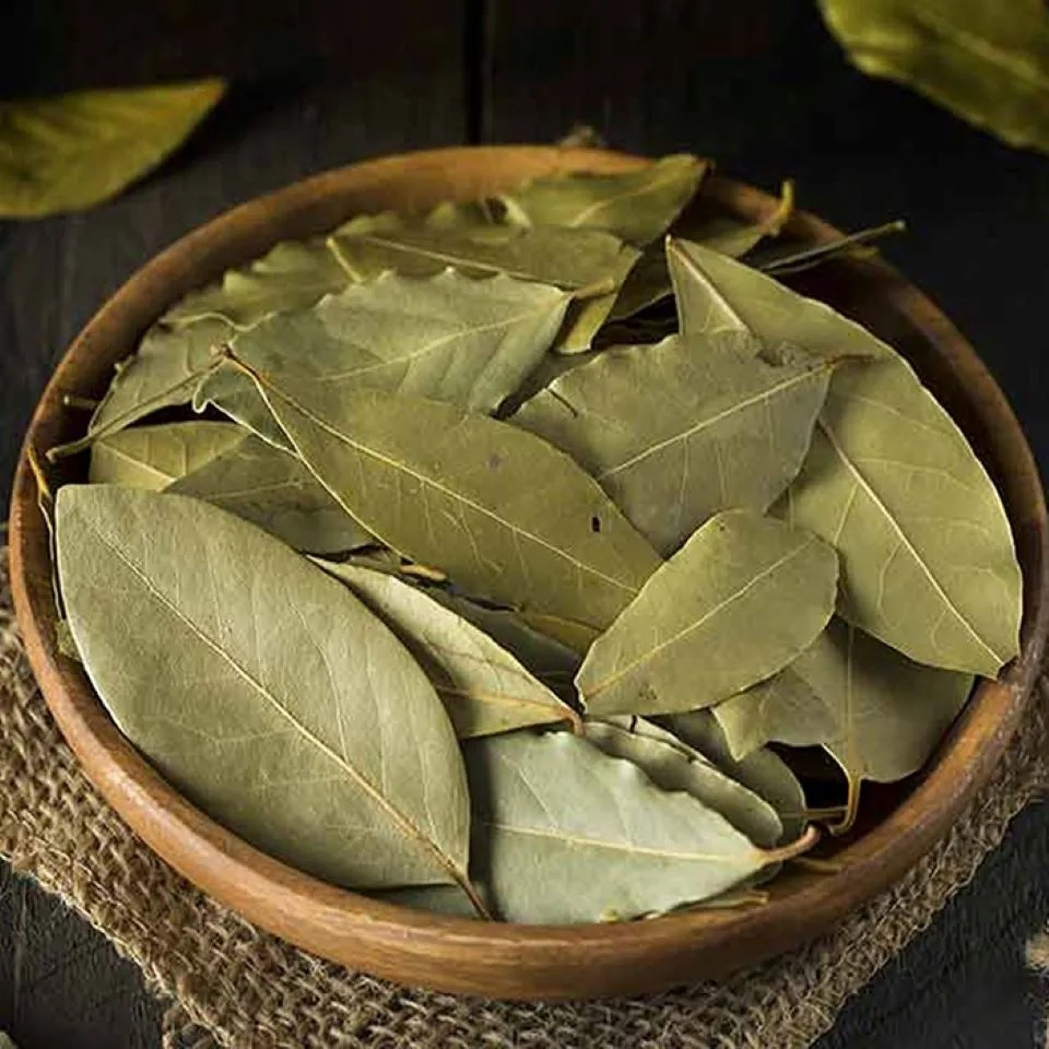 View - Loại lá rụng đầy vườn ở Việt Nam, ra nước ngoài 2 triệu đồng/kg | Báo Tri thức và Cuộc sống - TIN TỨC PHỔ BIẾN KIẾN THỨC 24H