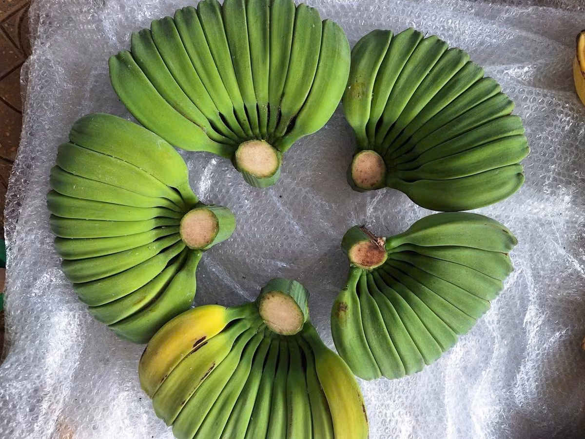 Tính ra, mỗi nải chuối giá lên tới hàng trăm nghìn đồng. Ảnh: Facebook