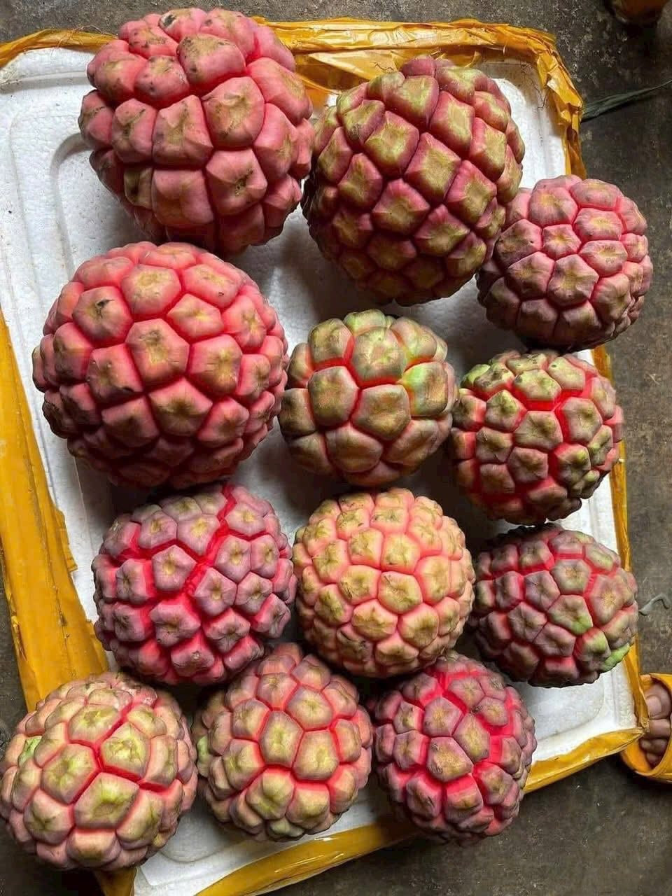 Na rừng có thể ăn được, khi chín vị chua ngọt, mọng nước và mùi rất thơm. Ảnh: Facebook