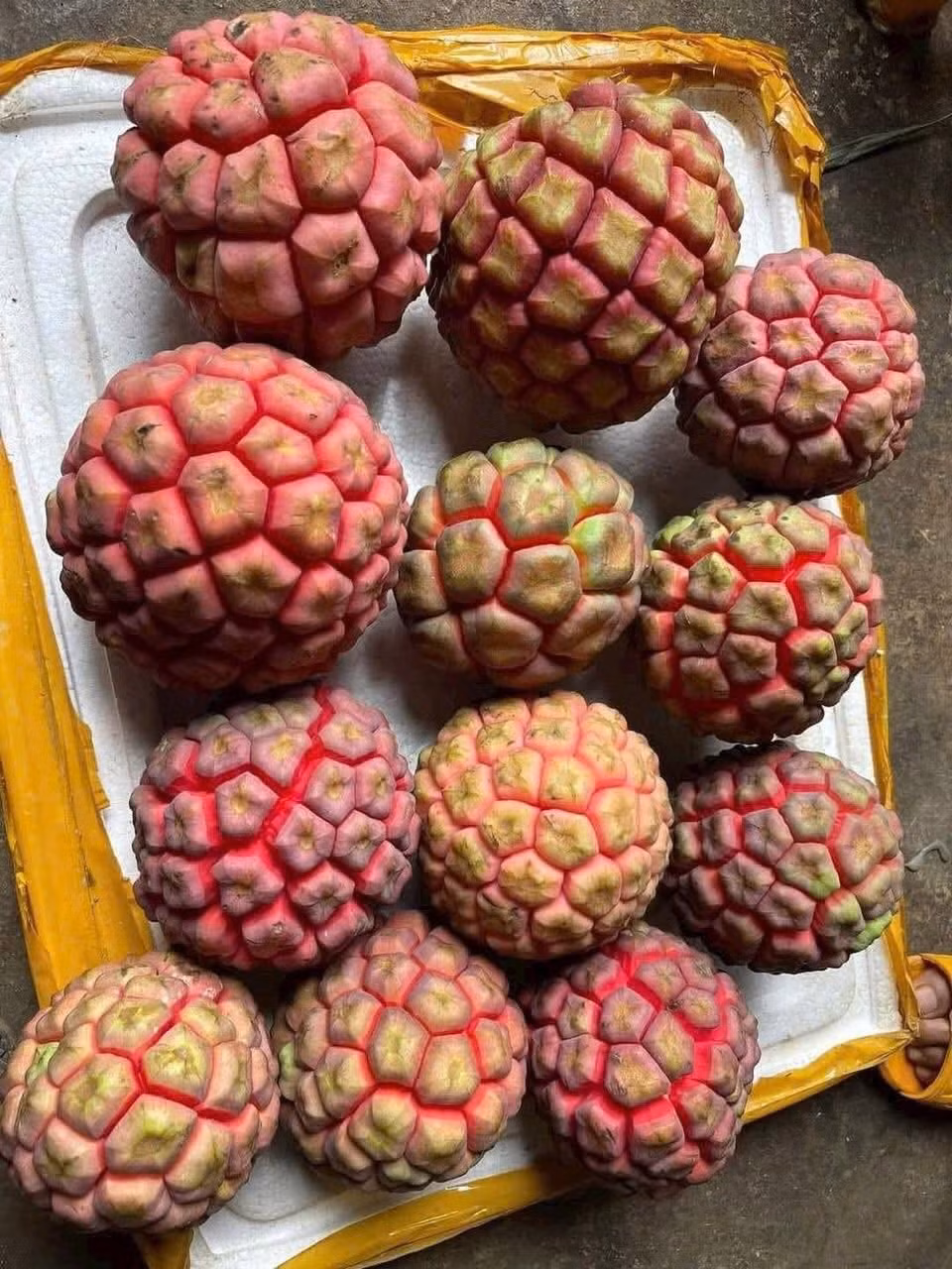 Na rừng có thể ăn được, khi chín vị chua ngọt, mọng nước và mùi rất thơm. Ảnh: Facebook