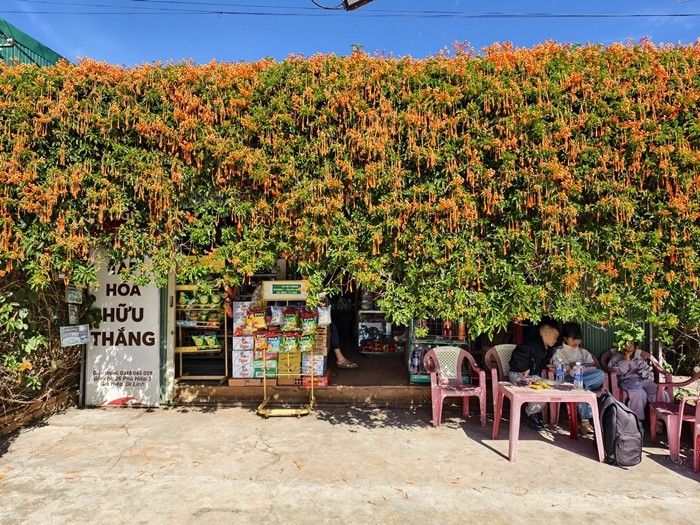 Hiểu được tâm lý của du khách, chủ nhà đặt thêm ghế gỗ, xích đu trước sân để mọi người có thể ngồi nghỉ chân, chụp ảnh hoàn toàn miễn phí. Ảnh: Người lao động