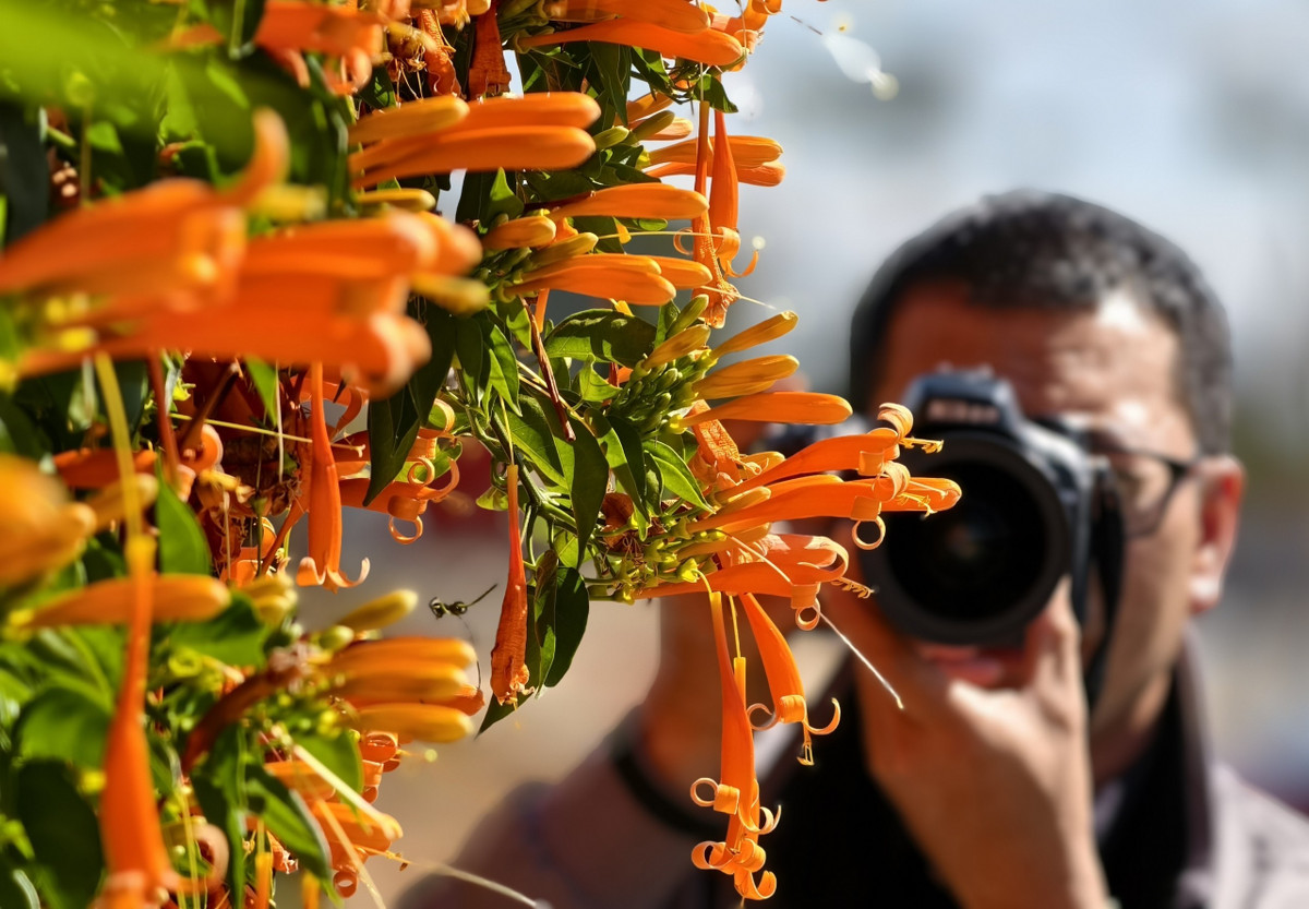 Không chỉ thu hút người yêu hoa, ngôi nhà còn là địa điểm săn ảnh yêu thích của giới nhiếp ảnh muốn tìm kiếm những góc máy lạ và đẹp. Ảnh: Người lao động