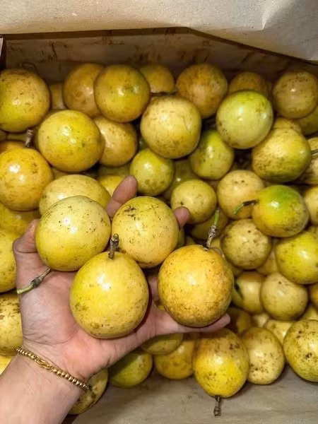 Trên chợ mạng và các cửa hàng hoa quả, chanh leo vàng giá từ 25.000 - 50.000 đồng/kg đối với loại thường, quả nhỏ và xấu. Ảnh: Facebook