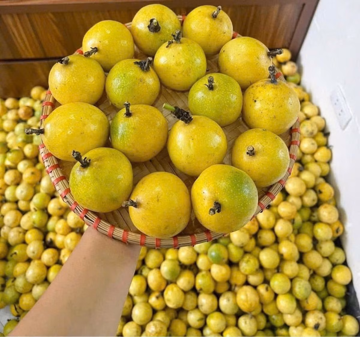 Đông khách nên chị Thảo thường phải đặt trước, nhiều hôm muộn không còn hàng. Ảnh: Facebook