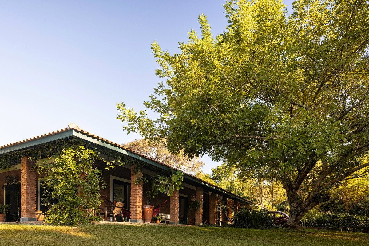 Khu vườn quanh nhà được trồng các loài cây bản địa, có khả năng sinh trưởng quanh năm, thu hút chim và côn trùng, đồng thời mở rộng không gian sử dụng ra ngoài trời. Ảnh: Joana França